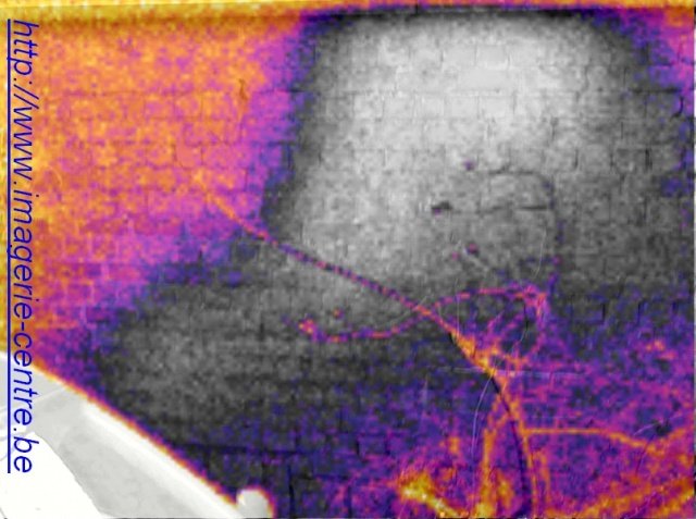 Humidité causée par des infiltrations vue en thermographie infrarouge